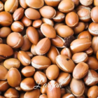 l-argan