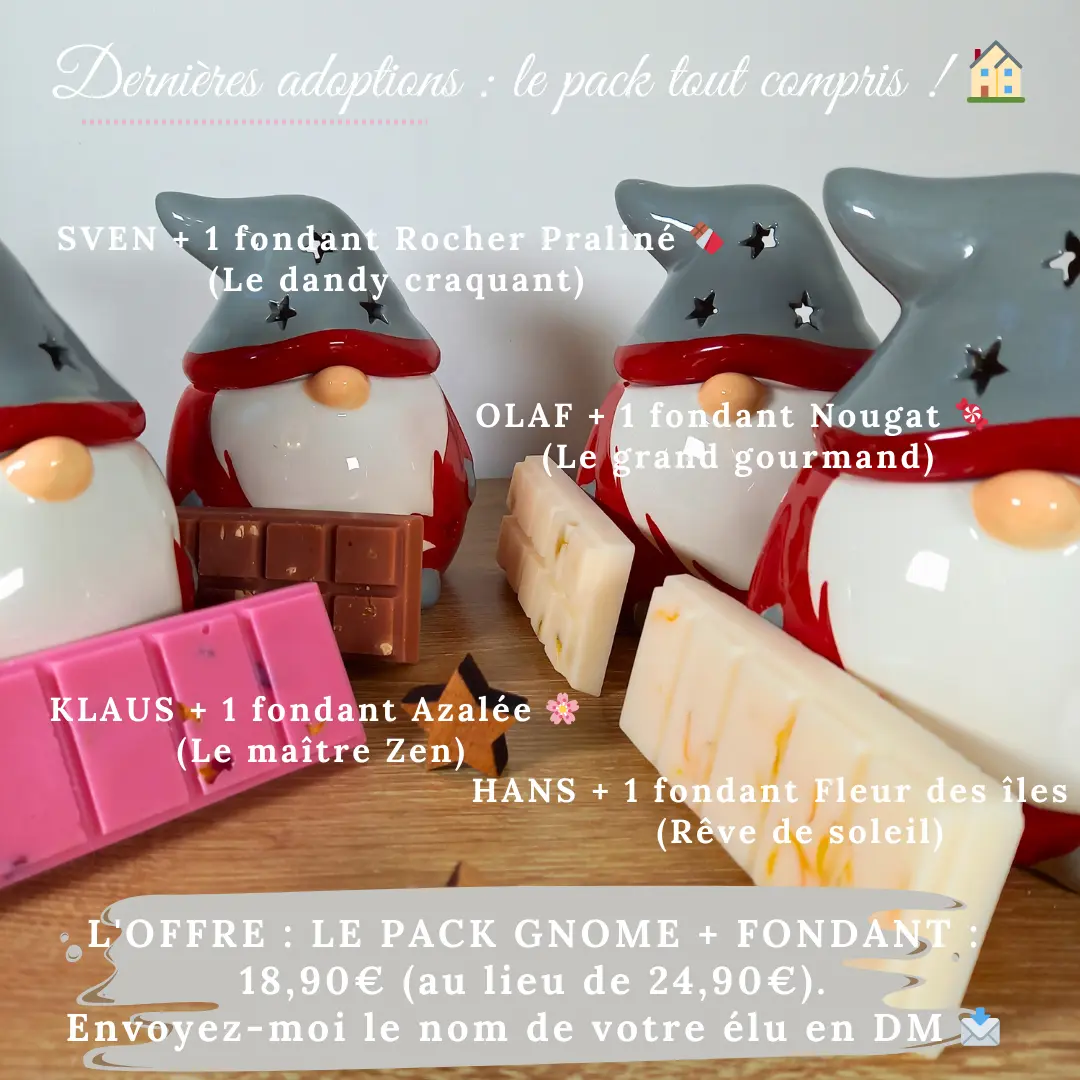 Pack Adoption : Votre Gnome de Noël & son Fondant assorti